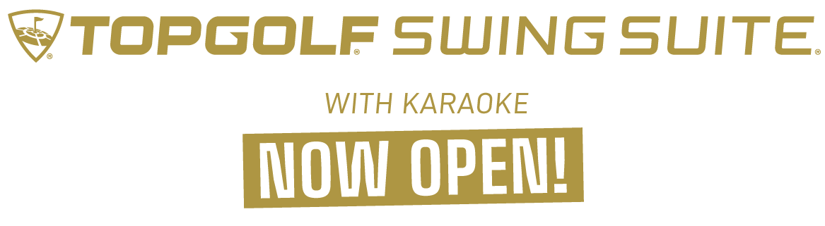 swingsuite nowopen