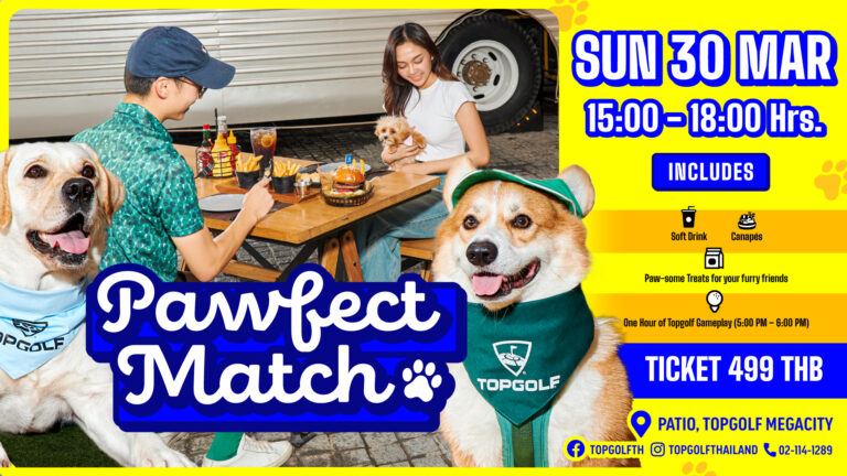 pawfect match pub sc